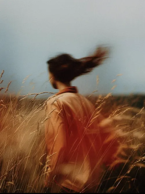 Vent dans les herbes